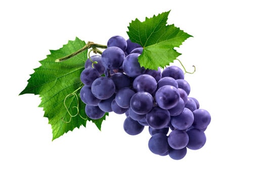 zucchero di uva