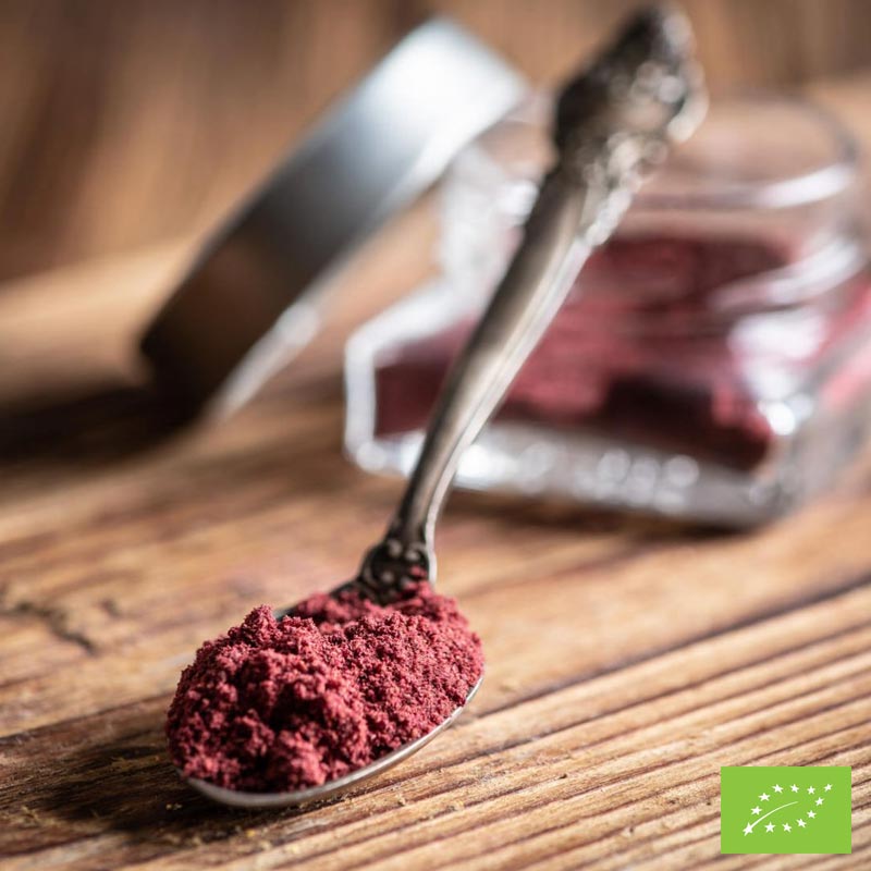 Mirtillo Rosso in Polvere Bio